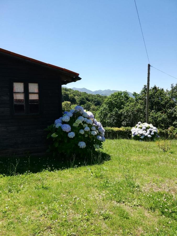 La Casa Nueva Alojamiento Rural Cereceda  Exterior photo